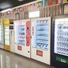 De hete Automaat van het Verkoop Nieuwste Zachte Automatische Roomijs voor School
